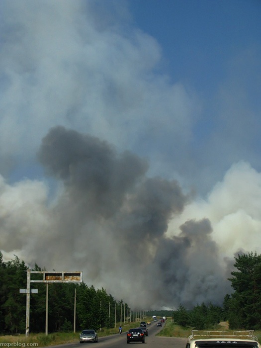 лесной пожар в Луганской области
