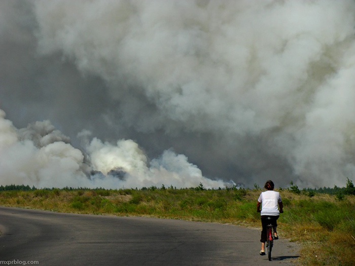 лесной пожар в Луганской области
