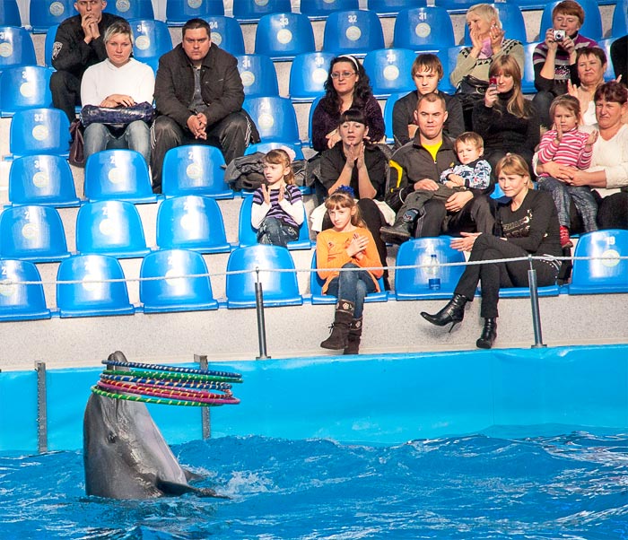 Донецкий дельфинарий "Немо"