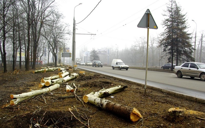 Город поверженных деревьев, или Донецк готовится к EURO 2012