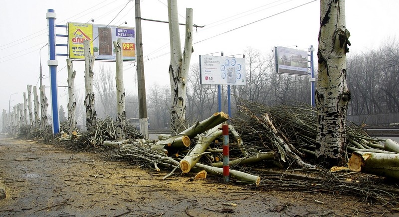 Город поверженных деревьев, или Донецк готовится к EURO 2012