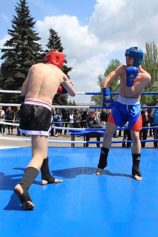 Открытый ринг по боевым искусствам в Енакиево