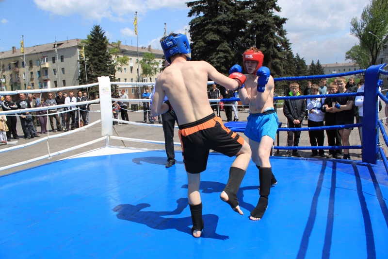 Открытый ринг по боевым искусствам в Енакиево