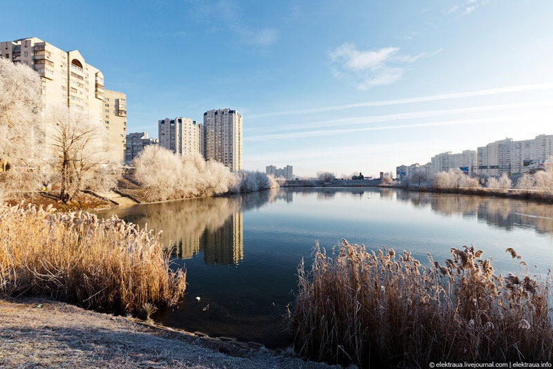 Про тёплую киевскую зиму. Фото Олег Стельмах