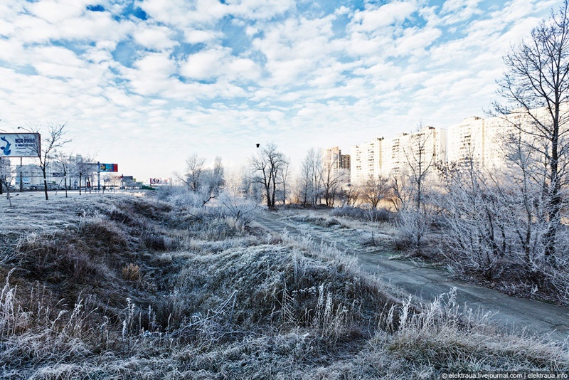 Про тёплую киевскую зиму. Фото Олег Стельмах