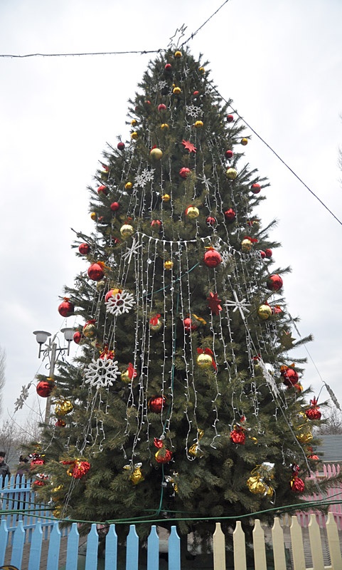 «Свет Рождественской звезды». Красноармейск