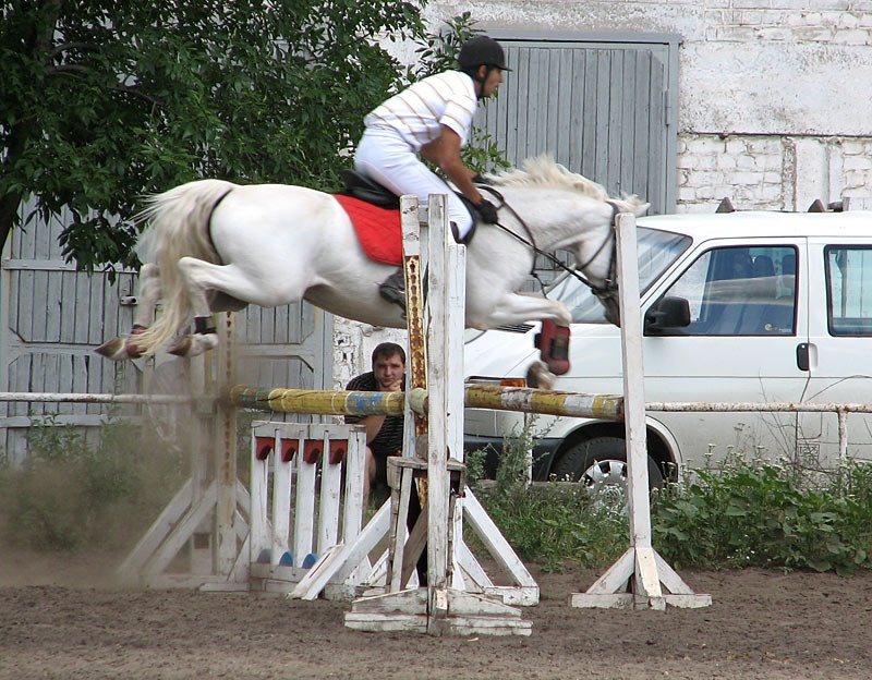 Чемпионат Донецкой области по конному спорту (конкур)
