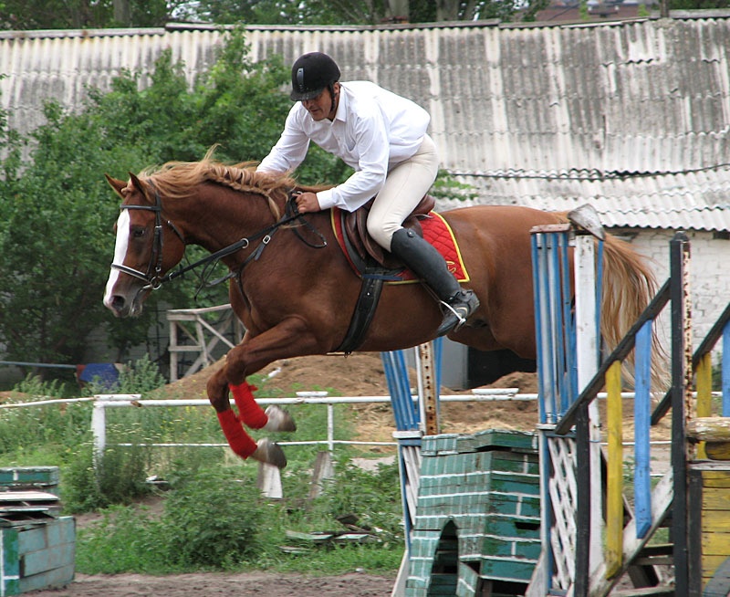 Чемпионат Донецкой области по конному спорту (конкур)