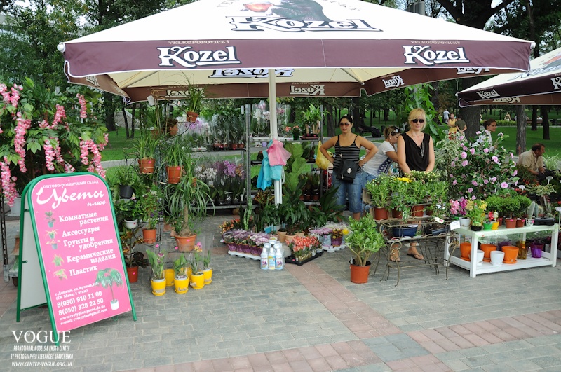 Донецк выставка цветов