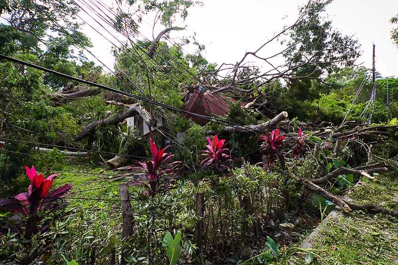 Последствия тайфуна Bopha