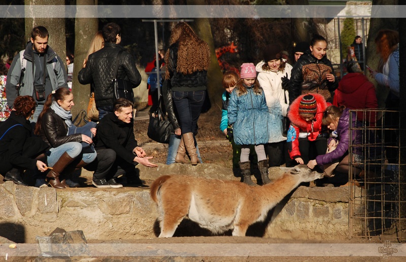 Харьковский зоопарк